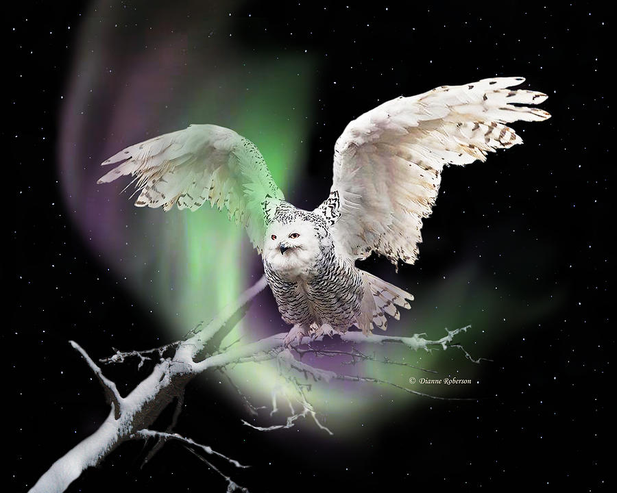 Owl Digital Art - Alaska Aurora Snowy Owl by Dianne Roberson