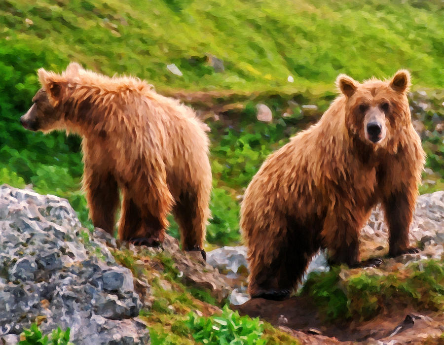 Alaska Brown Bears Painting by Michael Pickett