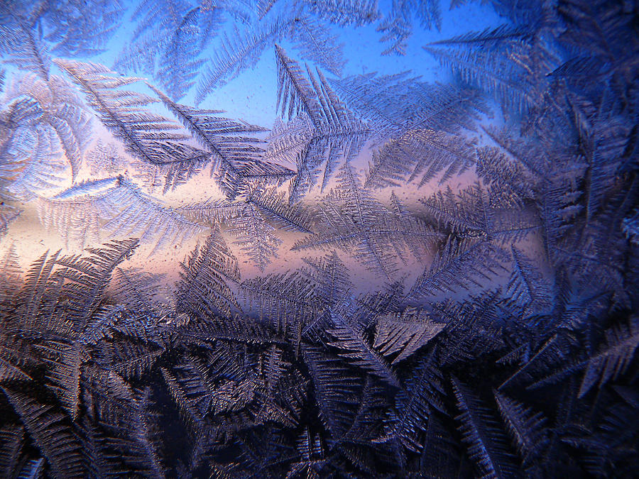 Alaska Cabin Frost I Photograph by Stephanie Jurries - Fine Art America