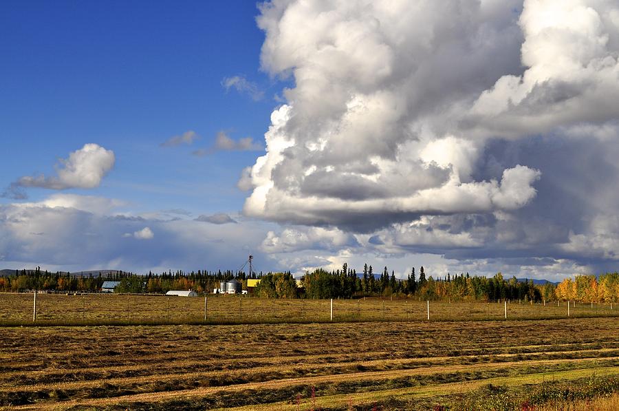 Alaska Farm Country Photograph by Cathy Mahnke - Fine Art America