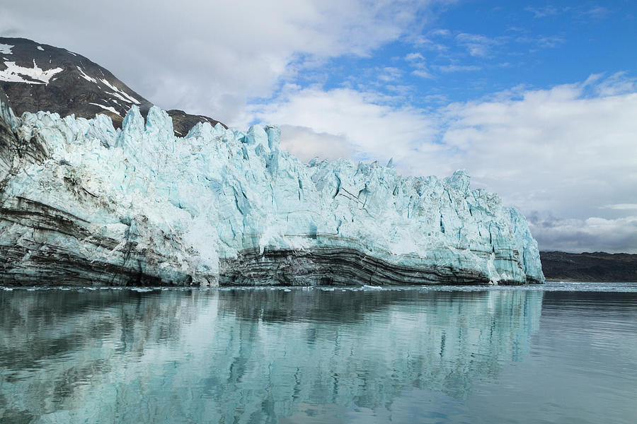 Alaska, Glacier Bay Photograph by Brenda Tharp