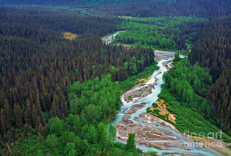 Alaska Green Aerial View Photograph by Thomas R Fletcher