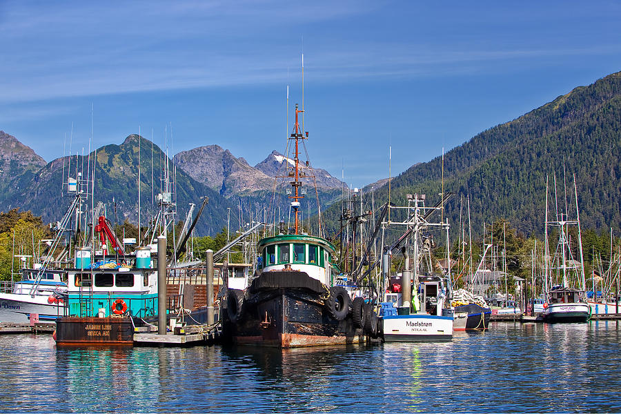 Sitka harbor Photograph by Henry Inhofer | Fine Art America