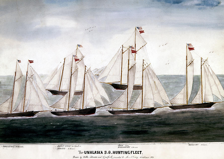 Alaska Hunting Fleet, 1896 Painting by Granger