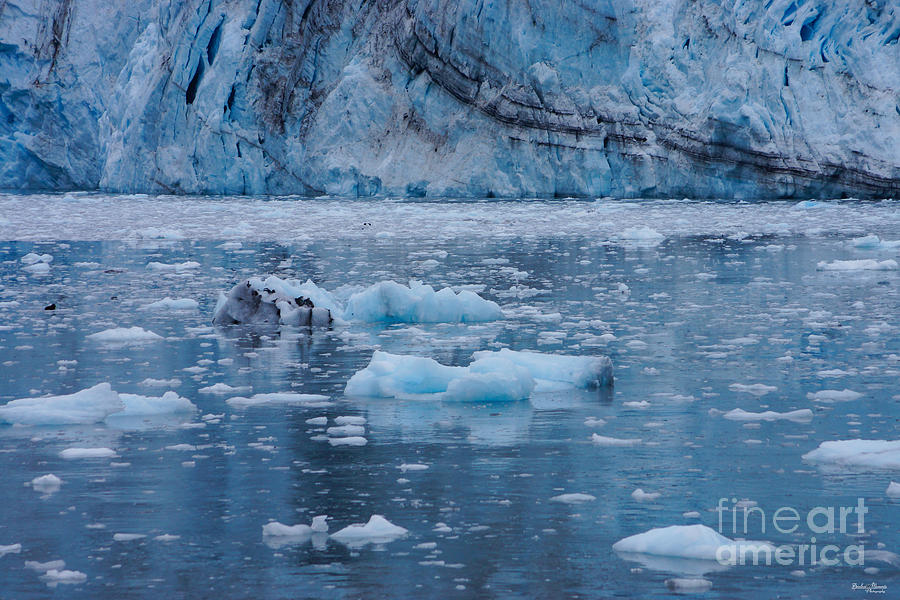 Alaska Ice Photograph by Jennifer White