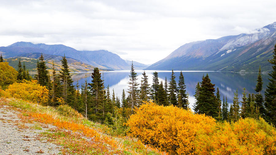 Alaska In September Photograph by David Nichols