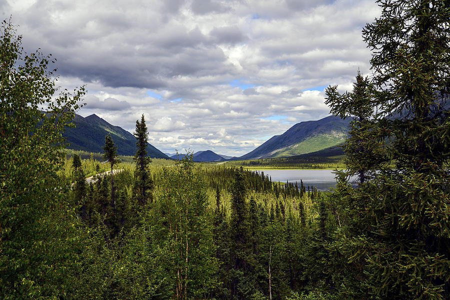 Alaska masterpiece Photograph by Wendy Olsen - Fine Art America