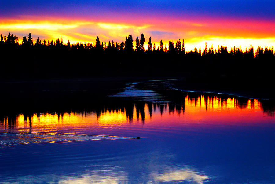 Nature Photograph - Alaska Morning 1 by John Hall