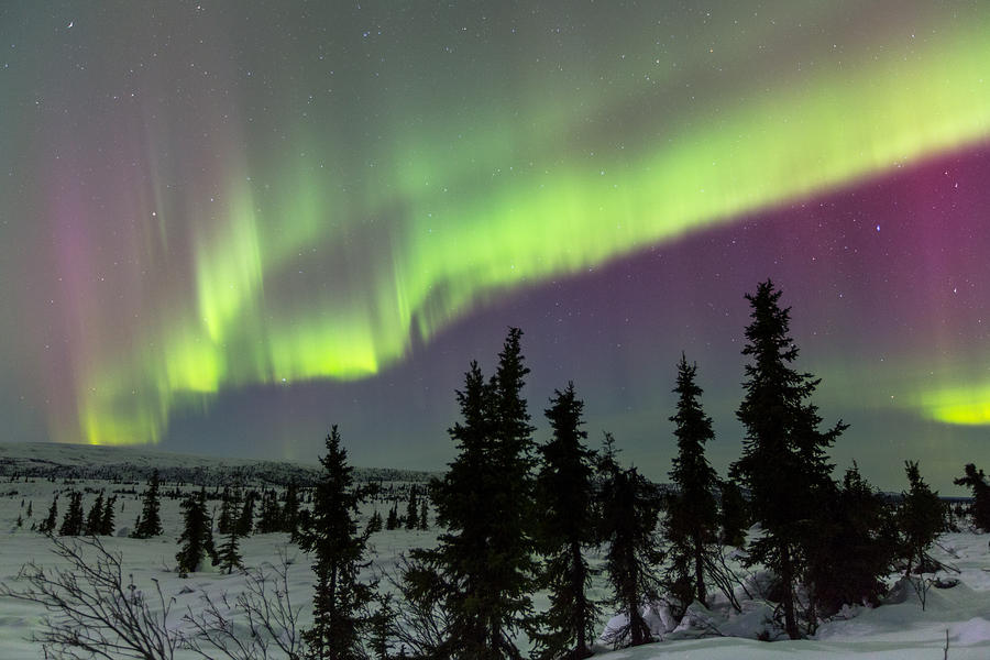 Alaska Northern Light Tails Photograph by Sam Amato
