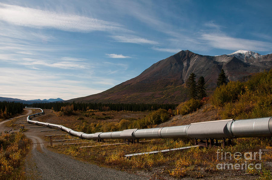 Alaska Oil Pipeline Photograph by Mark Newman
