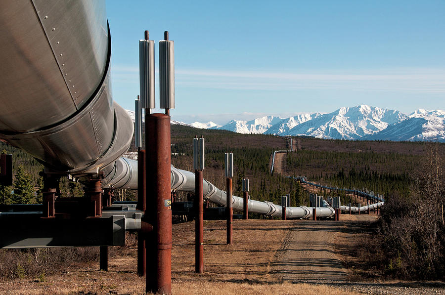 Tranquility Photograph - Alaska Oil Pipeline Near Delta Junction by Mark Ne...