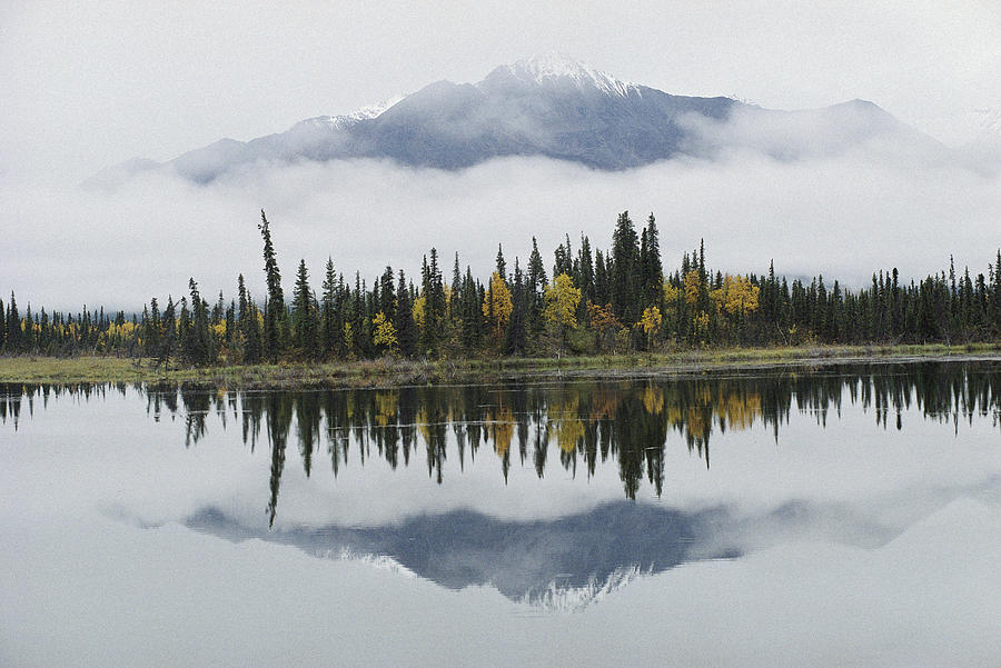 Alaska Range Reflected In Slana Slough Photograph by Michael Quinton
