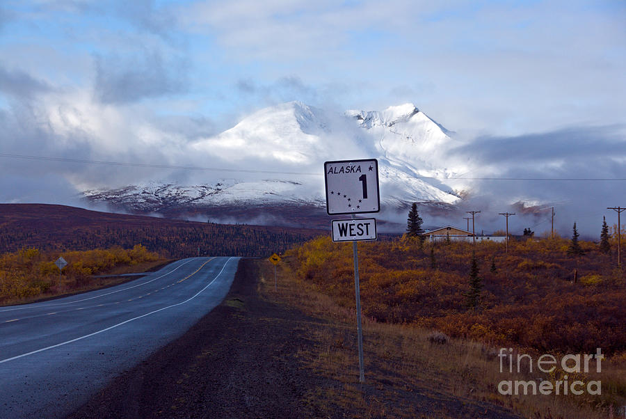Alaska Road Sign Photograph by Mark Newman Alaska Road Sign Photograph by Mark Newman
