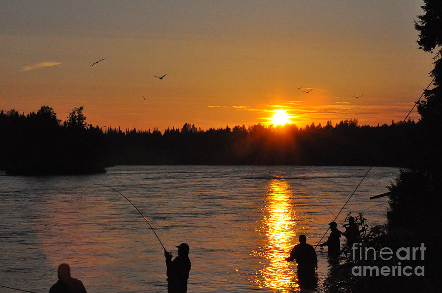 Alaska Salmon Fishing Photograph by Tatyana Searcy