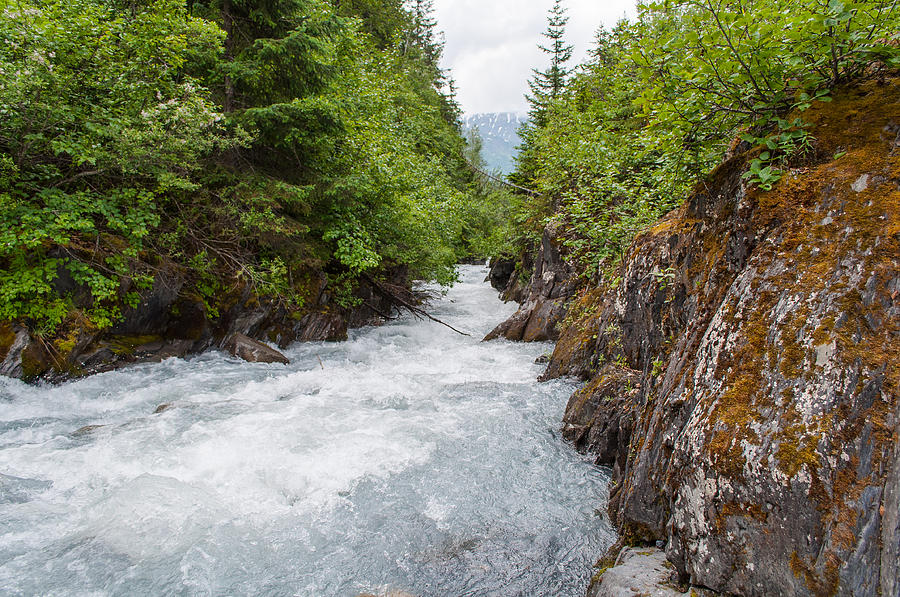 Alaska Stream Photograph