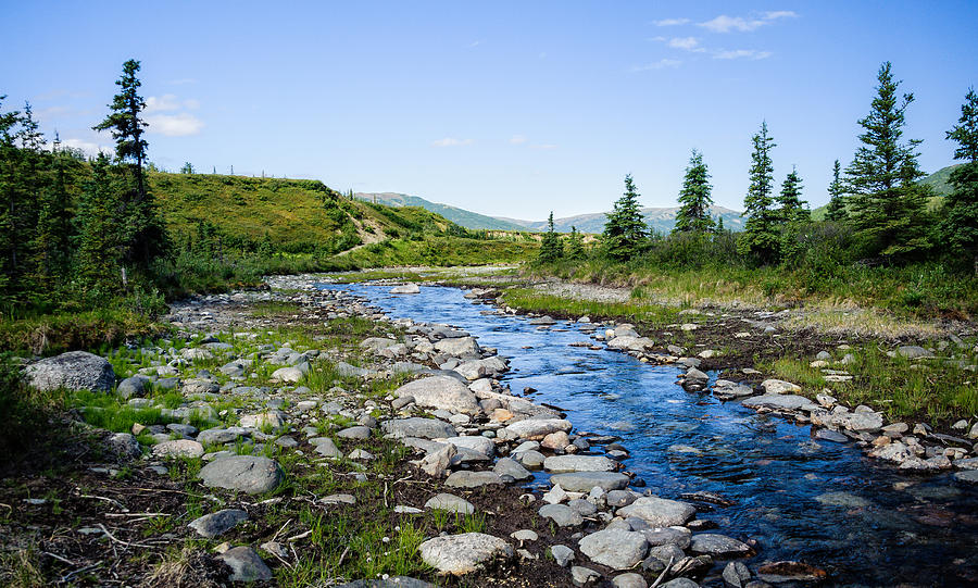 Nature Photograph - Alaska Stream by Jen Morrison