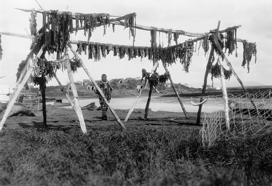 Alaska Whale Meat, C1929 Photograph by Granger
