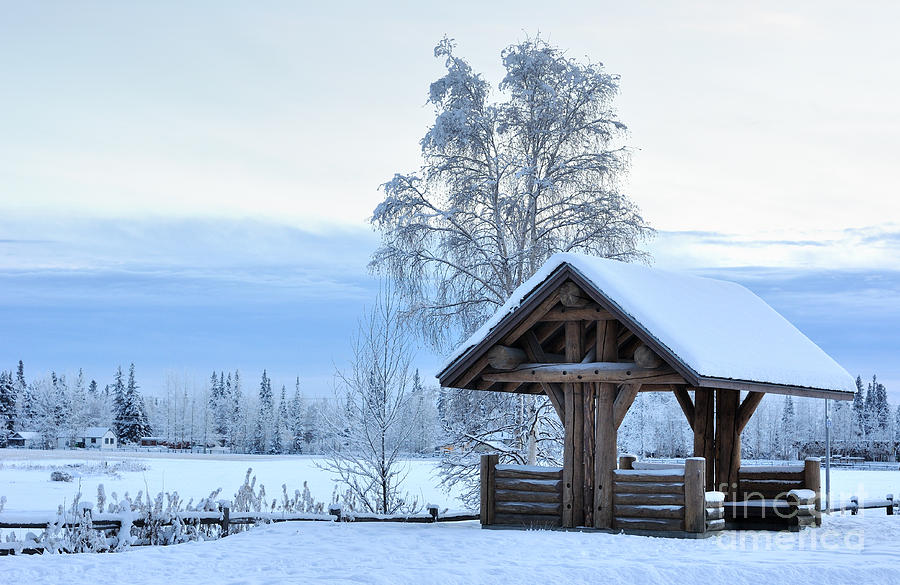 Alaska Winter Pavilion Photograph by Gary Whitton