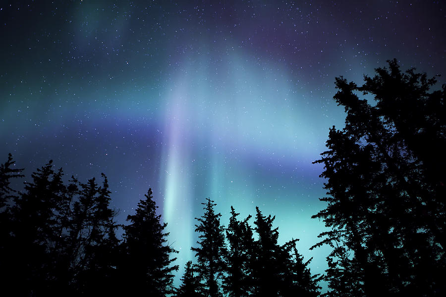 Alaskan Aurora Photograph by Michele Cornelius