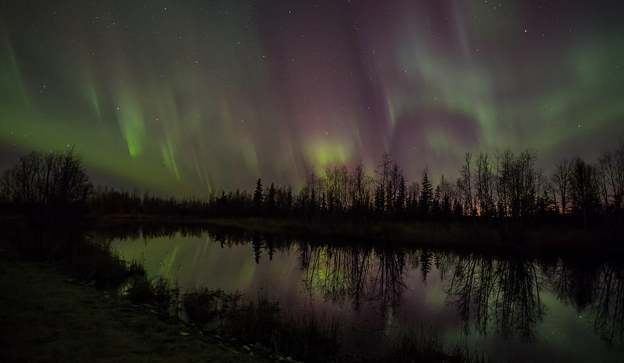 Reflections Photograph - Alaskan Aurora Reflections by Sam Amato