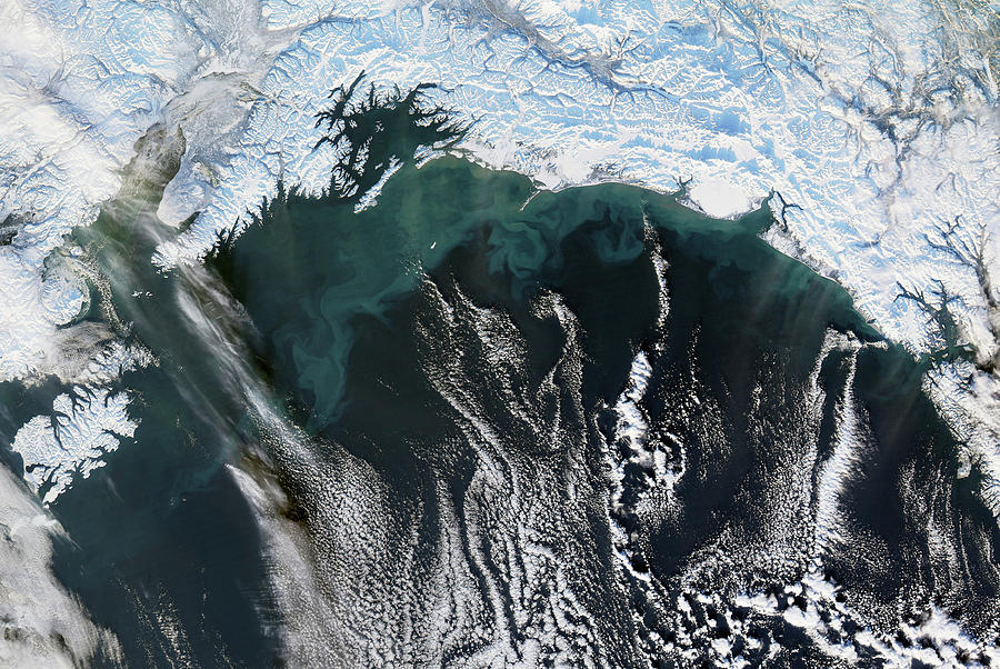 Winter Photograph - Alaskan Coastline by Nasa/gsfc/science Photo Library