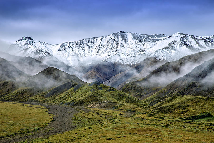 Denali National Park Photograph - Alaskan Dream by Rick Berk