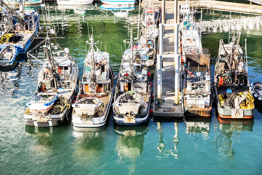 Alaskan Fishing Village Photograph by Jodi Jacobson | Fine Art America