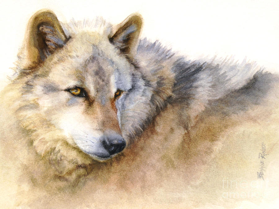 Alaskan Gray Wolf Painting by Bonnie Rinier