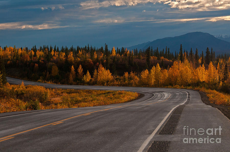Alaskan Highway In Autumn Photograph by Mark Newman