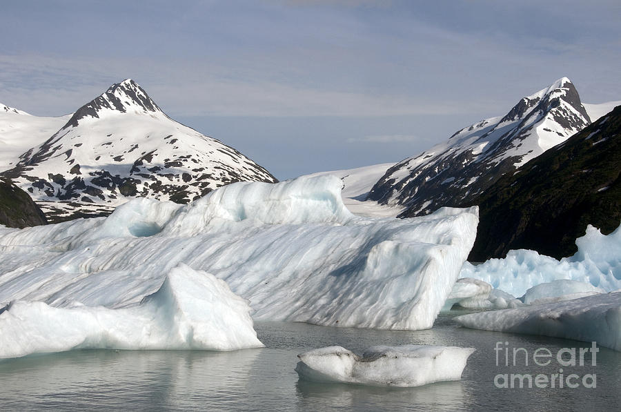 Alaskan Iceberg Photograph by Mark Newman