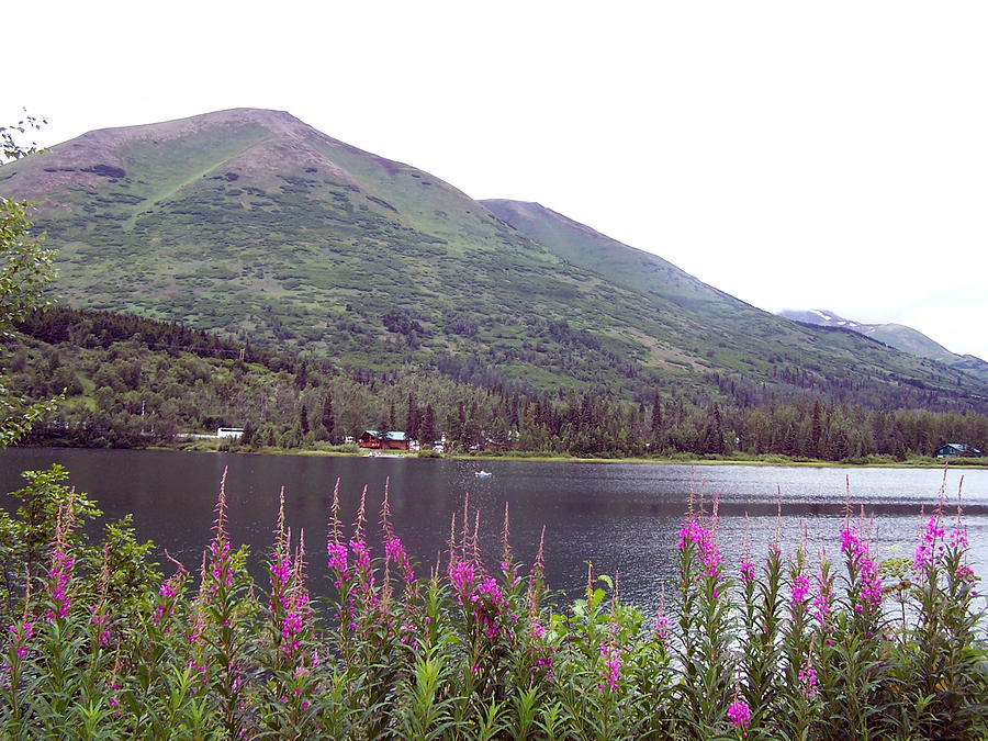 Alaskan Lake Photograph by Christine Lathrop