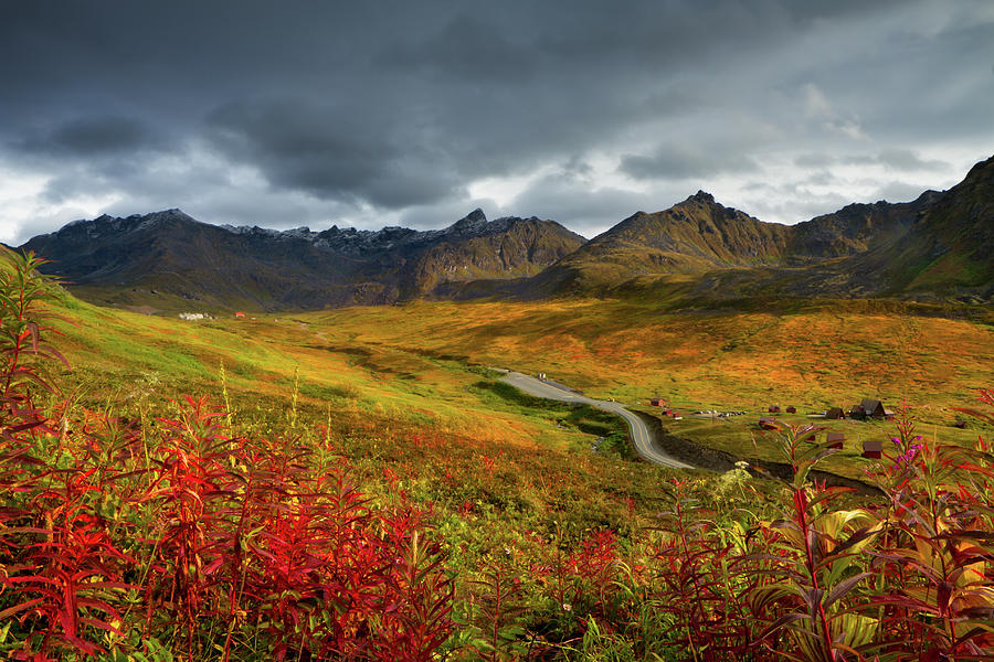 Alaskan Mountains And Tundra In Autumn Photograph by Adria  Photography