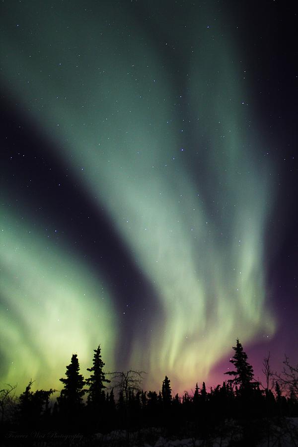 Nature Photograph - Alaskan Night by David Broome