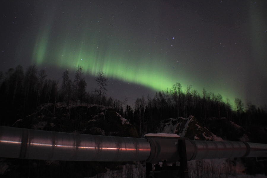 Alaskan Pipeline Photograph by Kristin M Crist