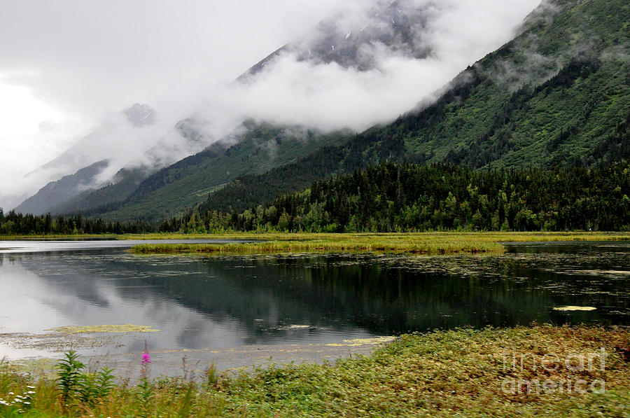 Alaskan Reflections Photograph by Tatyana Searcy