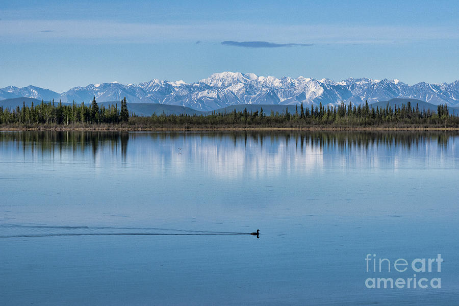 Alaskan Rockies Photograph by David Arment