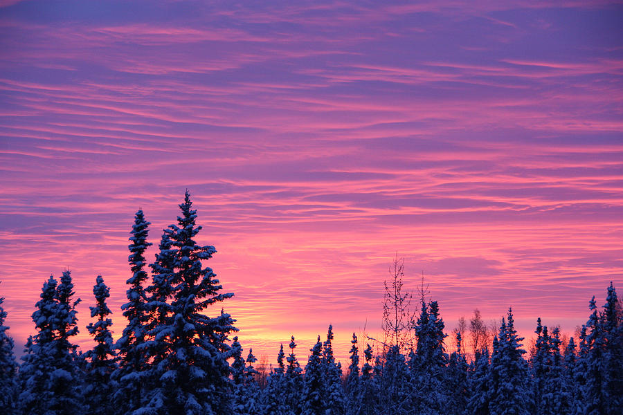 Alaskan Sunset Photograph by Laurel Butkins
