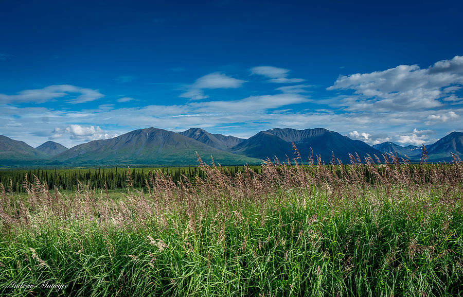 Alaskan Wilderness Photograph by Andrew Matwijec