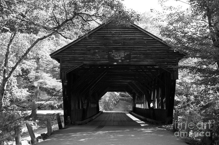 Albany Covered Bridge - 1 Photograph by Trish H - Fine Art America