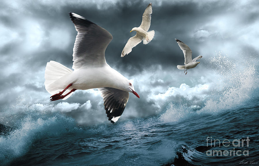 Albatross Digital Art by Linda Lees
