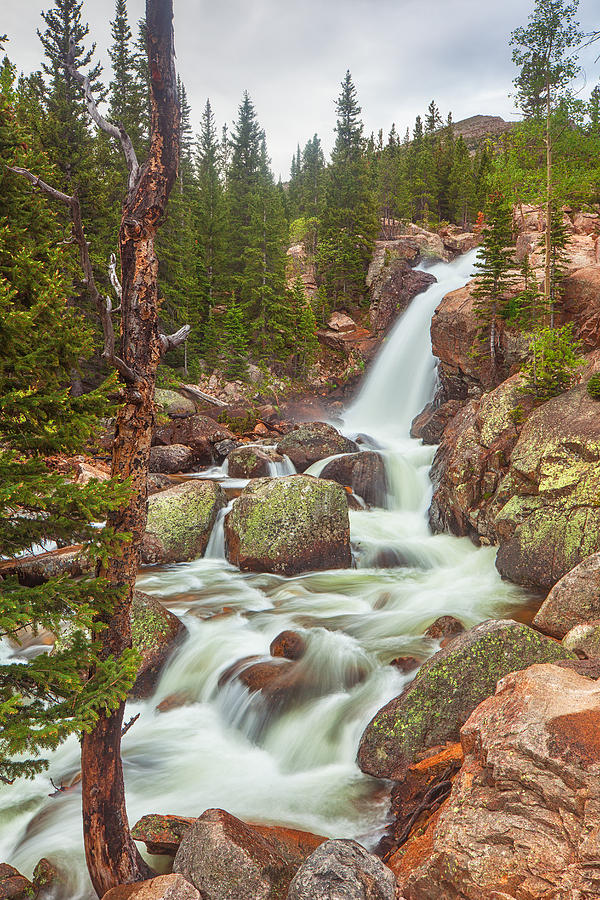 Rocky Mountain National Park Photograph - Alberta Falls by Darren White