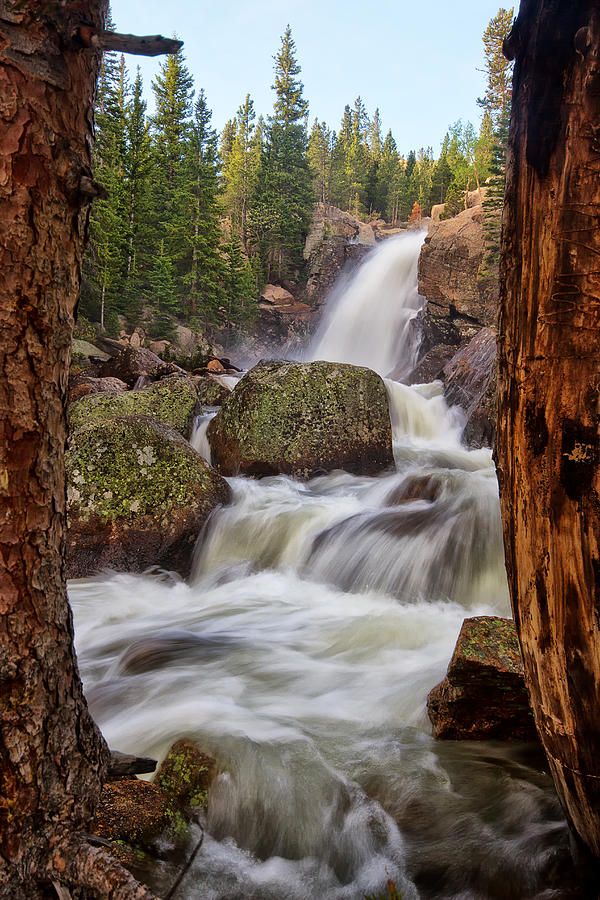 Alberta Falls II Photograph by Ronda Kimbrow