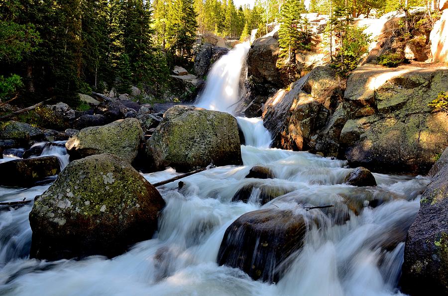 Alberta Falls in RMNP Photograph by Tranquil Light Photography