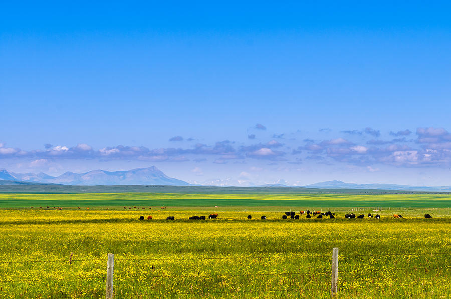 Landscape Photograph - Alberta Farmland by Brandon Smith