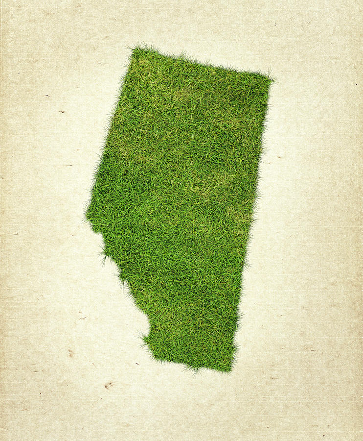 Nature Photograph - Alberta Grass Map by Aged Pixel