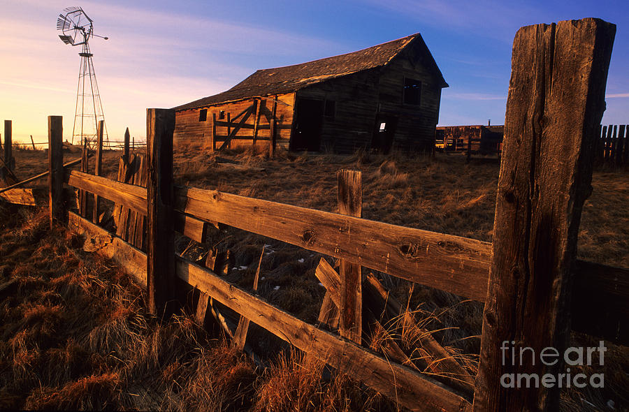 Farm Photograph - Alberta Homestead by Bob Christopher