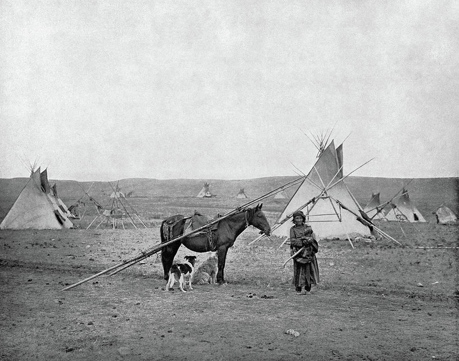 Alberta Reserve, C1890 Photograph by Granger - Pixels