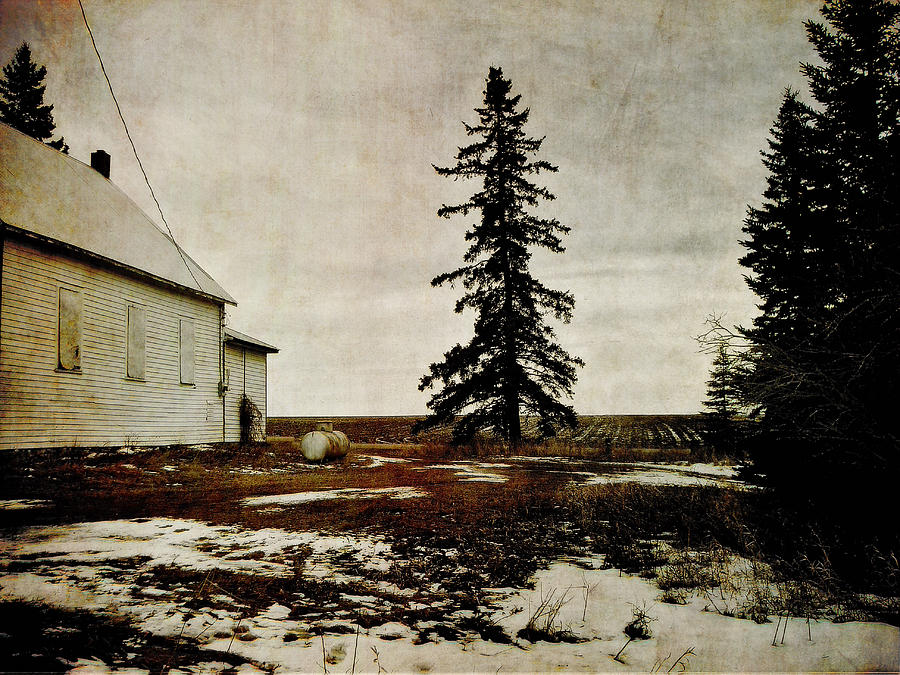 Tree Mixed Media - Alberta Schoolhouse by Janet Kearns