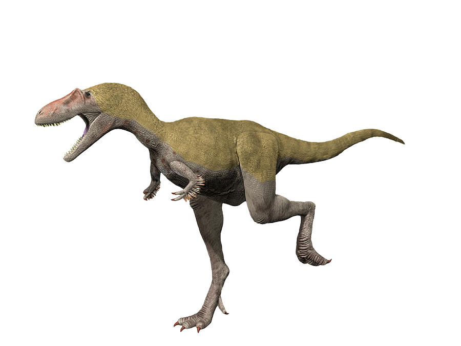 theropod dinosaurs