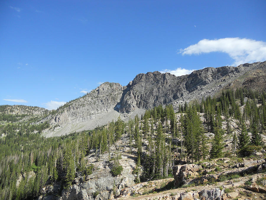 Mountain Photograph - Albion Basin East by Terry Pelch